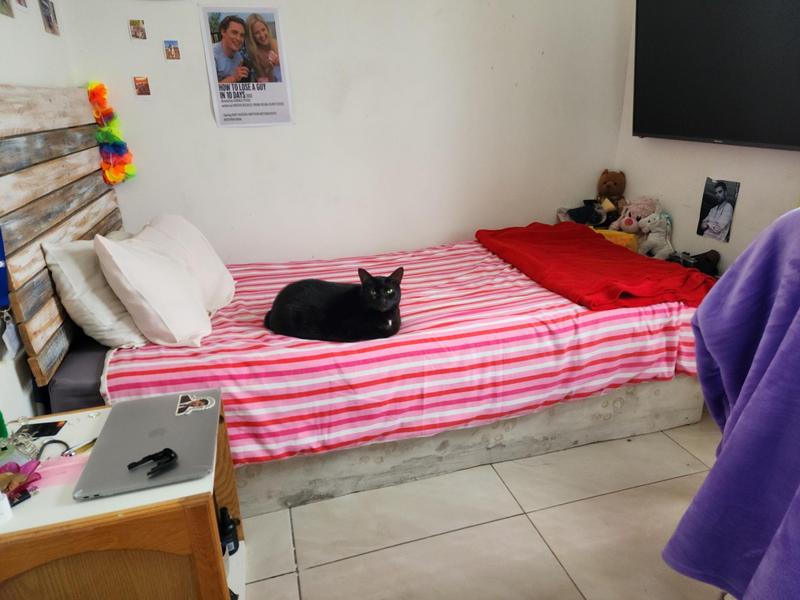 3 Bedroom Property for Sale in Hazendal Western Cape